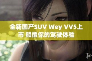 全新国产SUV Wey VV5上市 颠覆你的驾驶体验
