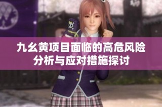 九幺黄项目面临的高危风险分析与应对措施探讨