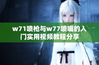 w71喷枪与w77喷嘴的入门实用视频教程分享