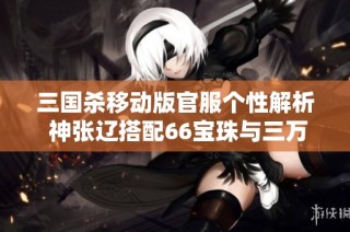 三国杀移动版官服个性解析 神张辽搭配66宝珠与三万羽毛三卡的策略分享
