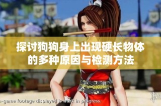 探讨狗狗身上出现硬长物体的多种原因与检测方法