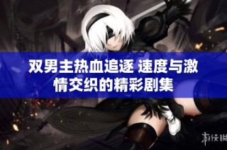 双男主热血追逐 速度与激情交织的精彩剧集