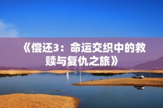 《偿还3：命运交织中的救赎与复仇之旅》