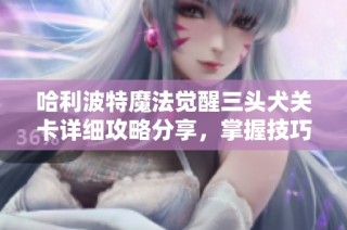 哈利波特魔法觉醒三头犬关卡详细攻略分享，掌握技巧与策略轻松通关