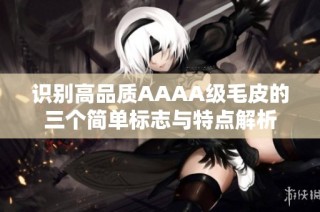 识别高品质AAAA级毛皮的三个简单标志与特点解析