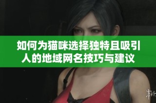 如何为猫咪选择独特且吸引人的地域网名技巧与建议