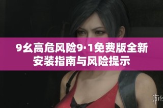 9幺高危风险9·1免费版全新安装指南与风险提示