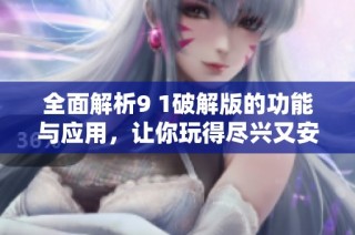 全面解析9 1破解版的功能与应用，让你玩得尽兴又安心