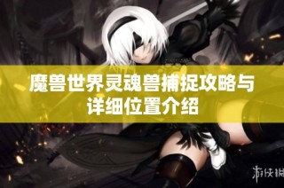 魔兽世界灵魂兽捕捉攻略与详细位置介绍