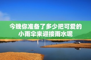 今晚你准备了多少把可爱的小雨伞来迎接雨水呢
