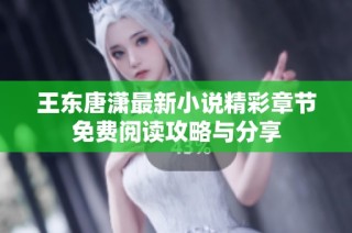王东唐潇最新小说精彩章节免费阅读攻略与分享