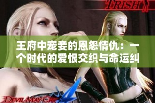王府中宠妾的恩怨情仇：一个时代的爱恨交织与命运纠葛