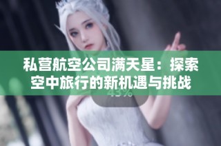 私营航空公司满天星：探索空中旅行的新机遇与挑战