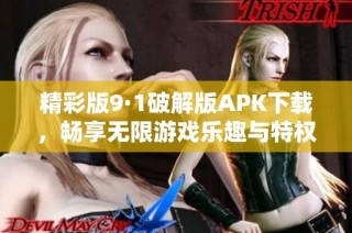 精彩版9·1破解版APK下载，畅享无限游戏乐趣与特权体验