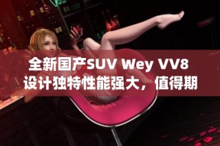 全新国产SUV Wey VV8 设计独特性能强大，值得期待