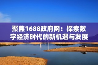 聚焦1688政府网：探索数字经济时代的新机遇与发展路径