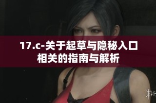 17.c-关于起草与隐秘入口相关的指南与解析