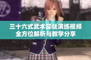 三十六式武术实战演练视频全方位解析与教学分享