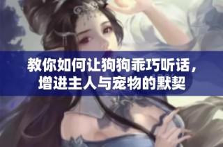 教你如何让狗狗乖巧听话，增进主人与宠物的默契