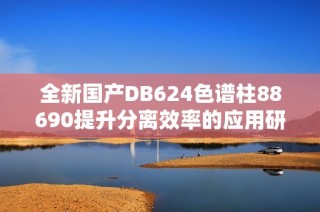 全新国产DB624色谱柱88690提升分离效率的应用研究