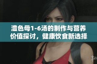 澧色母1-6汤的制作与营养价值探讨，健康饮食新选择