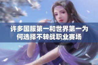 许多国服第一和世界第一为何选择不转战职业赛场