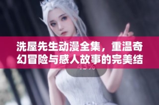 洗屋先生动漫全集，重温奇幻冒险与感人故事的完美结合与体验
