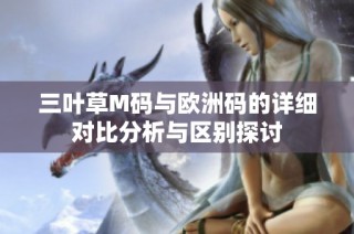 三叶草M码与欧洲码的详细对比分析与区别探讨