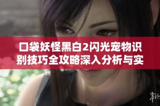 口袋妖怪黑白2闪光宠物识别技巧全攻略深入分析与实用指南