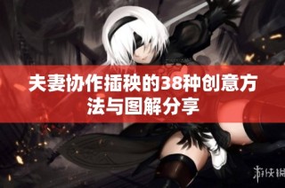 夫妻协作插秧的38种创意方法与图解分享