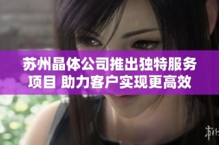 苏州晶体公司推出独特服务项目 助力客户实现更高效的产业发展