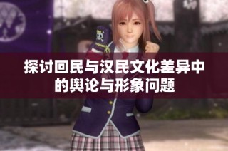 探讨回民与汉民文化差异中的舆论与形象问题