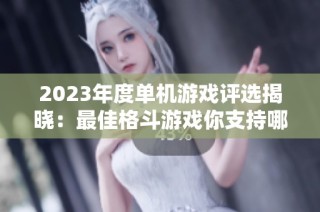 2023年度单机游戏评选揭晓：最佳格斗游戏你支持哪一款？