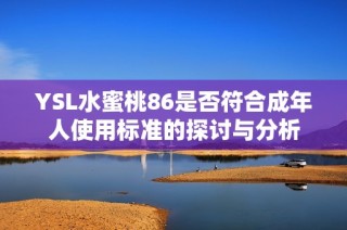 YSL水蜜桃86是否符合成年人使用标准的探讨与分析