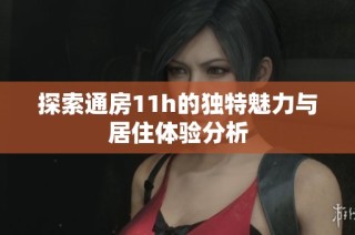 探索通房11h的独特魅力与居住体验分析