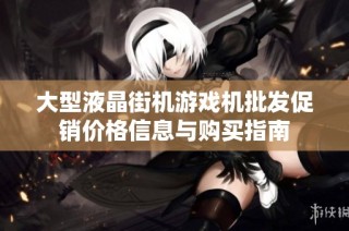 大型液晶街机游戏机批发促销价格信息与购买指南