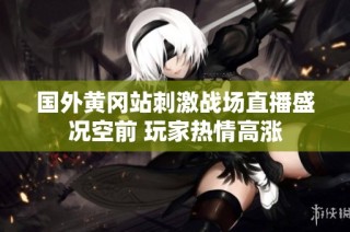 国外黄冈站刺激战场直播盛况空前 玩家热情高涨