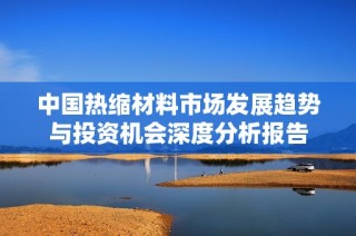 中国热缩材料市场发展趋势与投资机会深度分析报告