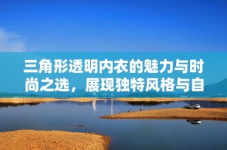 三角形透明内衣的魅力与时尚之选，展现独特风格与自信态度