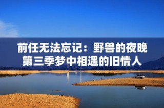 前任无法忘记：野兽的夜晚第三季梦中相遇的旧情人