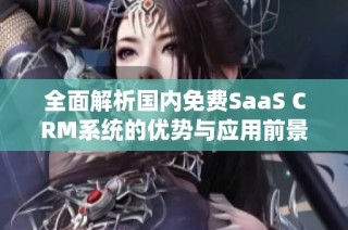 全面解析国内免费SaaS CRM系统的优势与应用前景