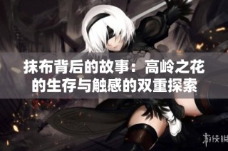 抹布背后的故事：高岭之花的生存与触感的双重探索