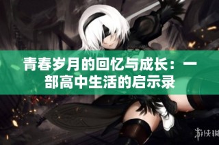 青春岁月的回忆与成长：一部高中生活的启示录
