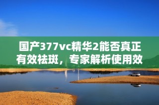 国产377vc精华2能否真正有效祛斑，专家解析使用效果