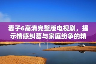 妻子6高清完整版电视剧，揭示情感纠葛与家庭纷争的精彩故事