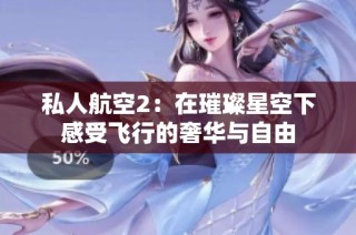 私人航空2：在璀璨星空下感受飞行的奢华与自由
