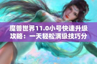 魔兽世界11.0小号快速升级攻略：一天轻松满级技巧分享