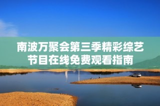 南波万聚会第三季精彩综艺节目在线免费观看指南