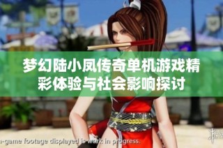 梦幻陆小凤传奇单机游戏精彩体验与社会影响探讨