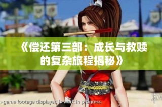 《偿还第三部：成长与救赎的复杂旅程揭秘》